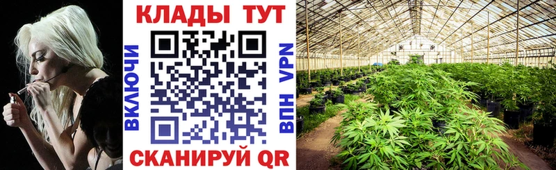 Купить закладку Марихуана  АМФЕТАМИН  ГАШ  МЕФ  Alpha-PVP  Суджа