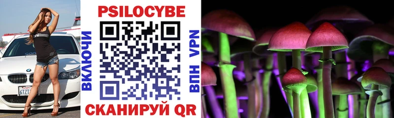 Купить  Суджа  Псилоцибиновые грибы мухоморы 